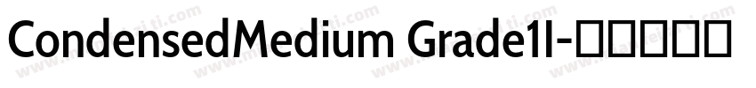 CondensedMedium Grade1I字体转换